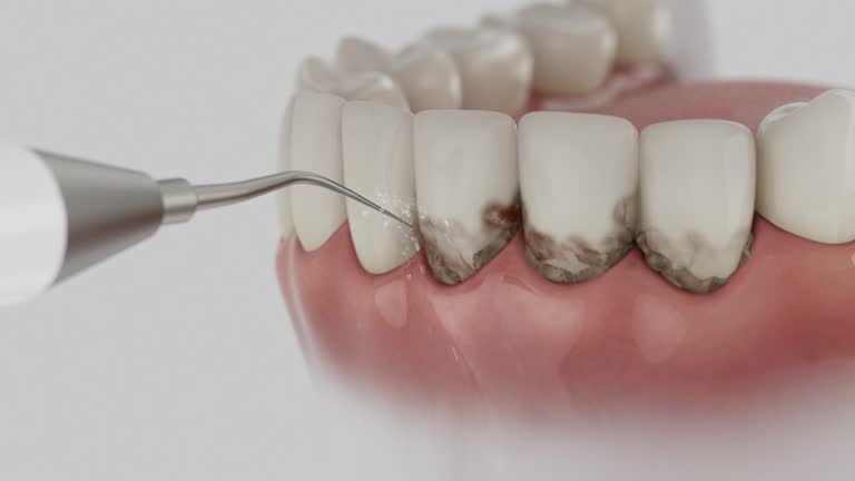 Reliable Dental contractor in Norris, TN by Dentist Open Now